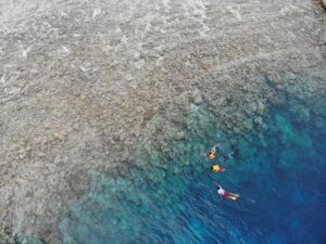 Pulau Wangi Wangi Wakatobi